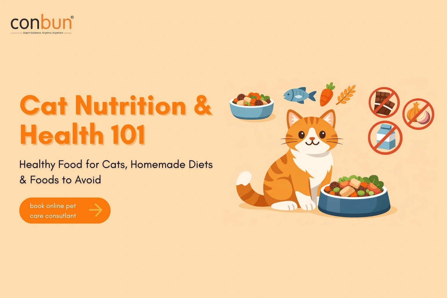 Cat Nutrition & Health 101: Healthy Food for Cats, Homemade Diets & Foods to Avoid